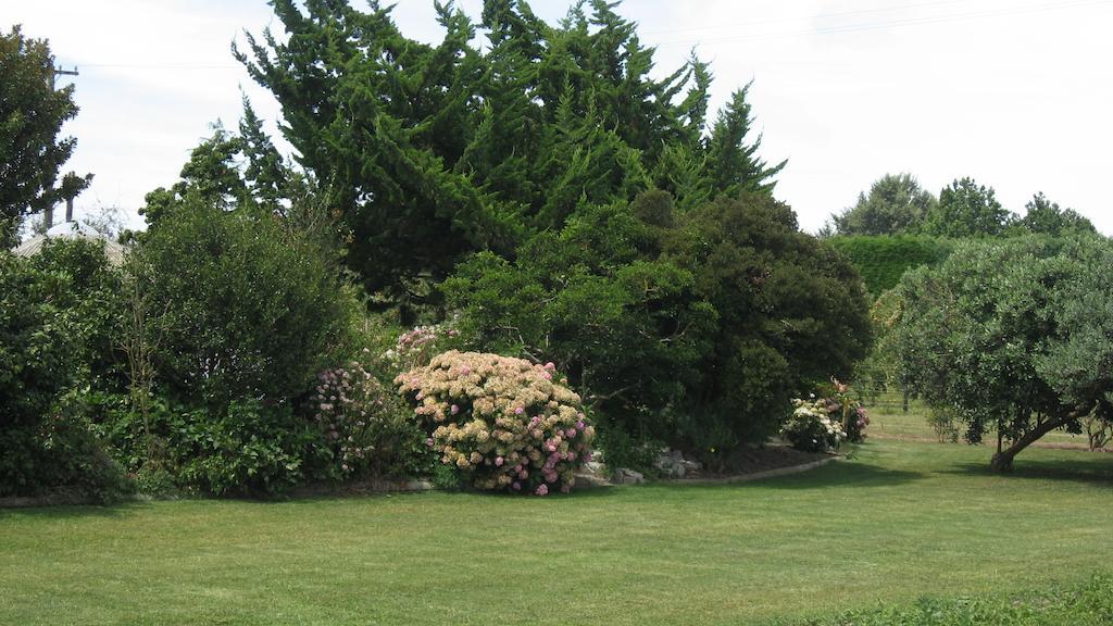 Bluebell Lodge And Cottage Hastings Room photo